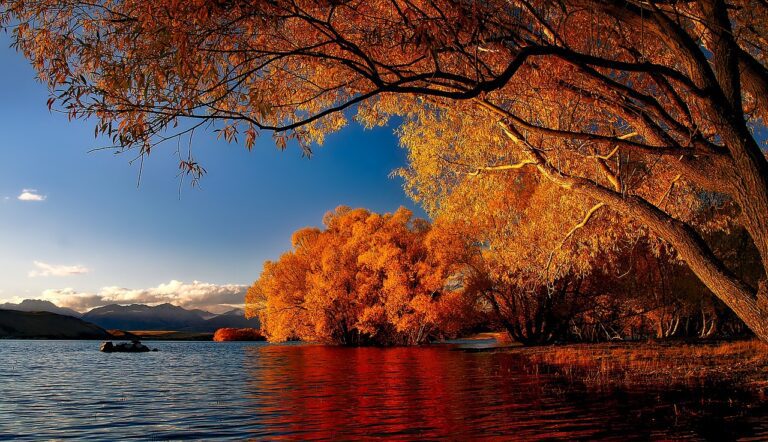 new zealand, lake tekapo, reflections-1738275.jpg